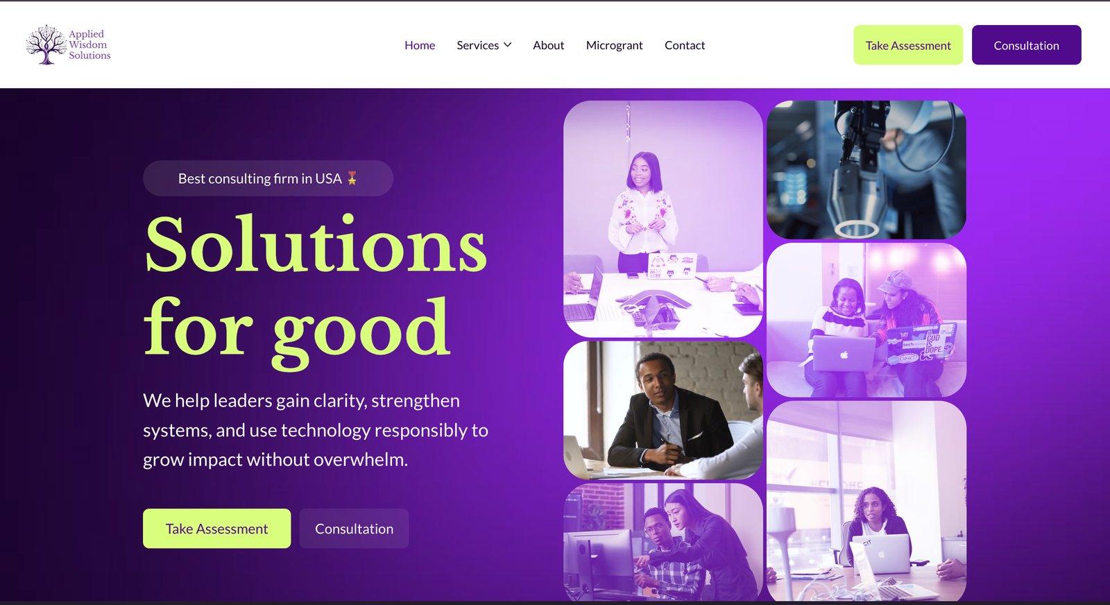 Applied Wisdom Solutions